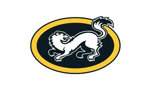 Karpat