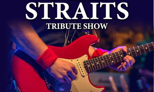 One Night of Dire Straits