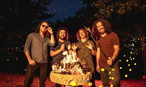 Pigeons Playing Ping Pong