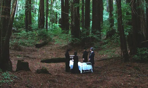 Sleepytime Gorilla Museum